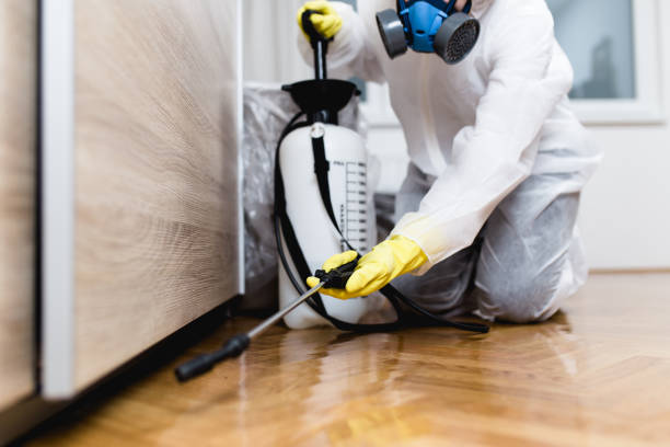 Best Affordable Pest Control Services  in New Lno, LA