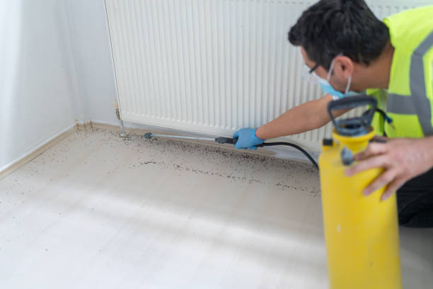 Pest Control for Restaurants in New Llano, LA