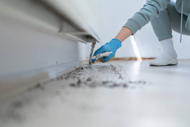 New Llano, LA Pest Control Company