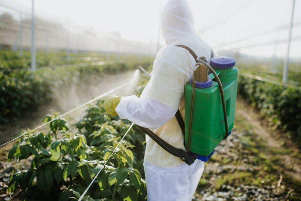 Best Best Pest Control Companies  in New Lno, LA